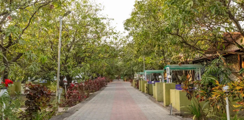 Daksh Resort & Amusement Park